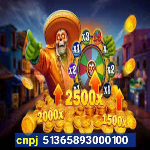 cnpj 51365893000100
